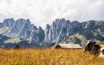 La Gruyère