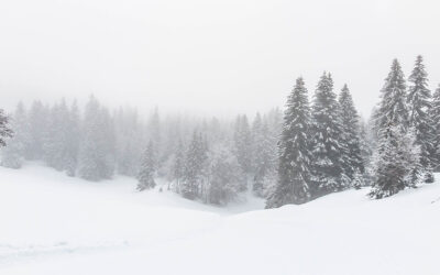 Sur les pistes